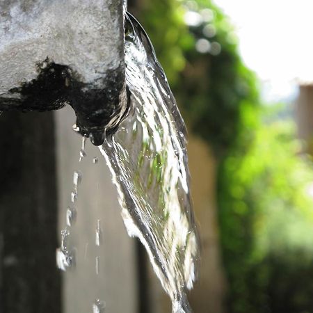 Гостьовий будинок Quinta De Guimaraes Miguas Екстер'єр фото