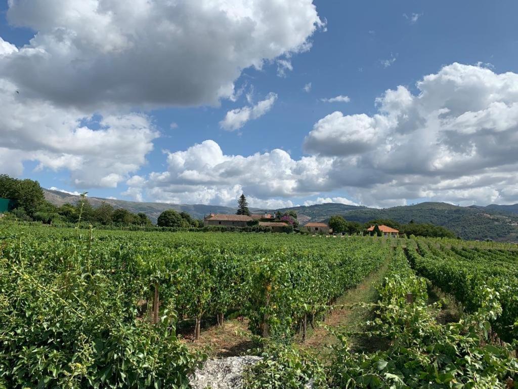 Гостьовий будинок Quinta De Guimaraes Miguas Екстер'єр фото